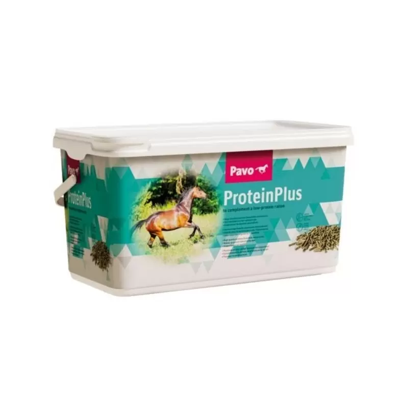 Pavo ProteinPlus
