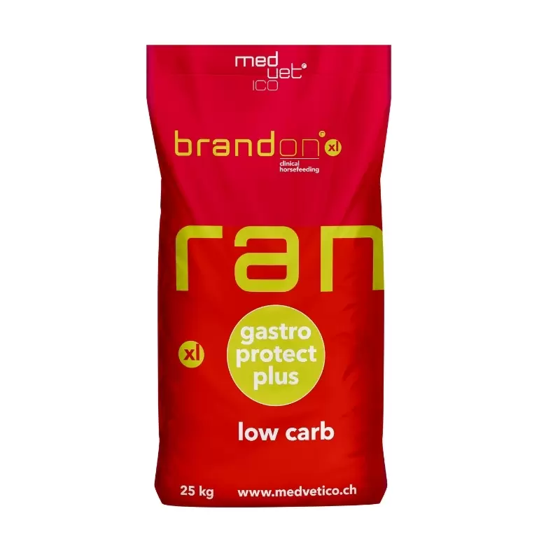 St.Hippolyt Brandon xl