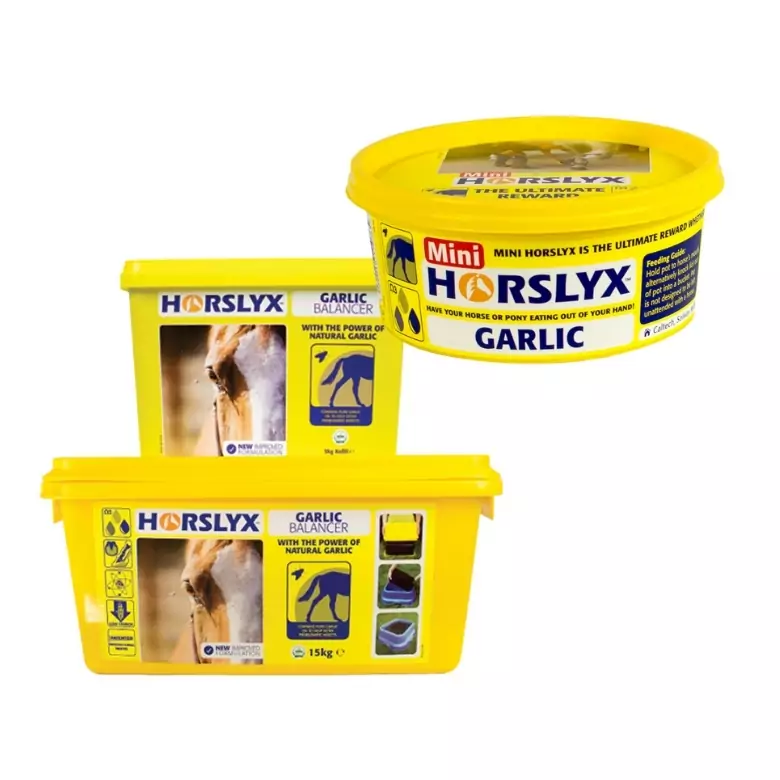 DERBY Horslyx Garlic