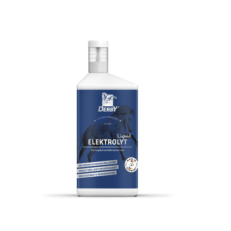 Flasche Derby Elektrolyt Liquid