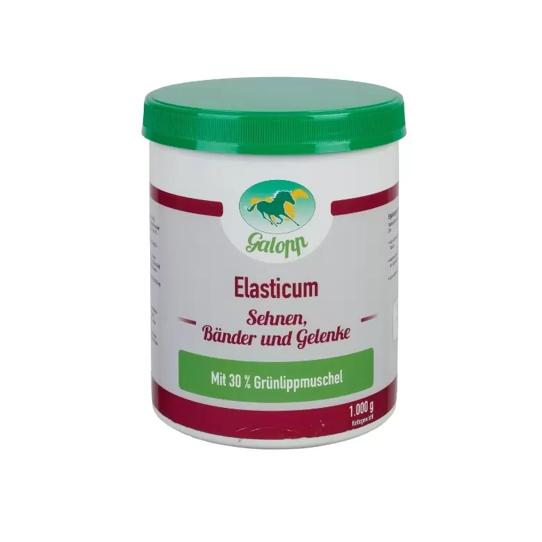 Galopp Elasticum