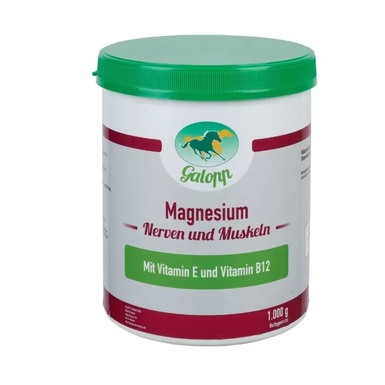 Galopp Magnesium