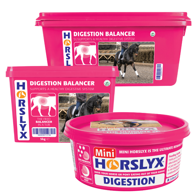 Variabel Horselyx Digestion