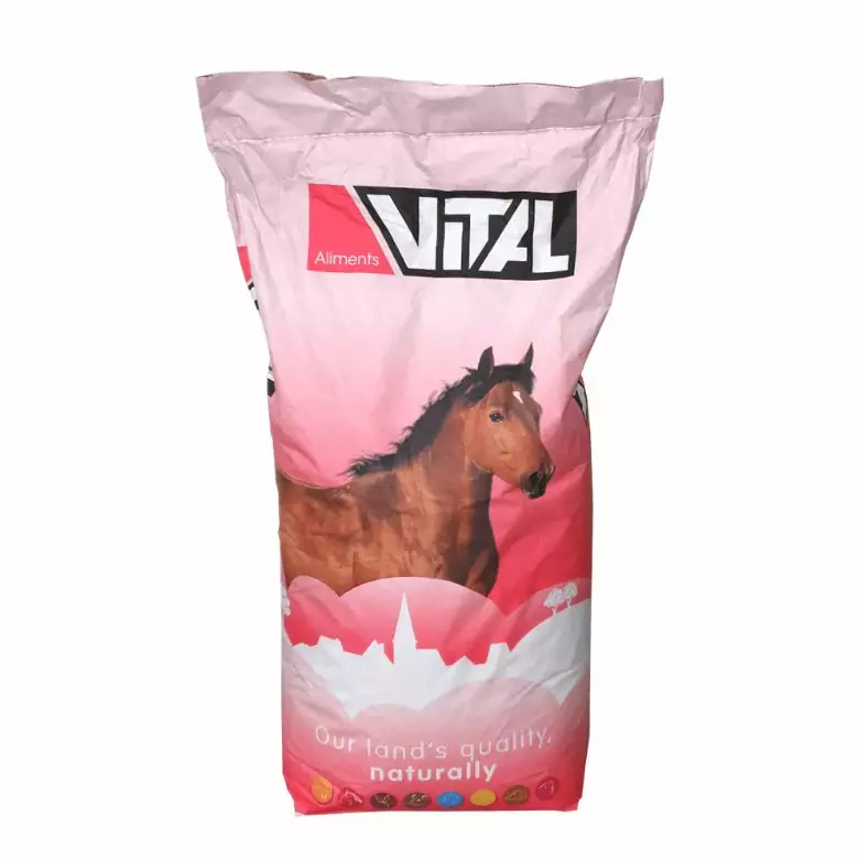 Scar Vital Horse Manege