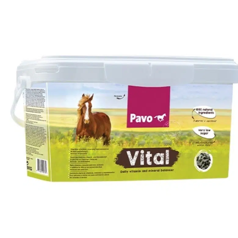 Pavo Vital – Bild 3
