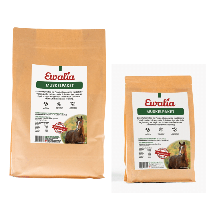 Variabel Ewalia Muskelpaket