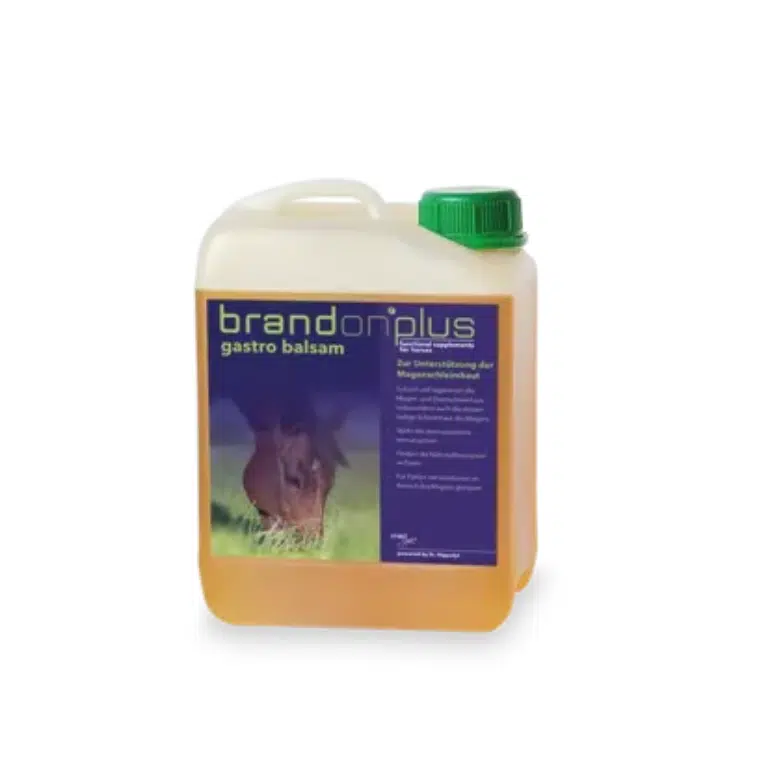 Kanister St.Hippolyt Brandon Plus Gastro Balsam